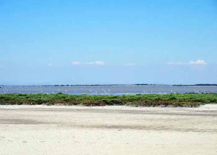 Apartmán Saint Patrick By Interhome